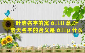 叶浩名字的寓 🐒 意,叶浩天名字的含义是 🐵 什么